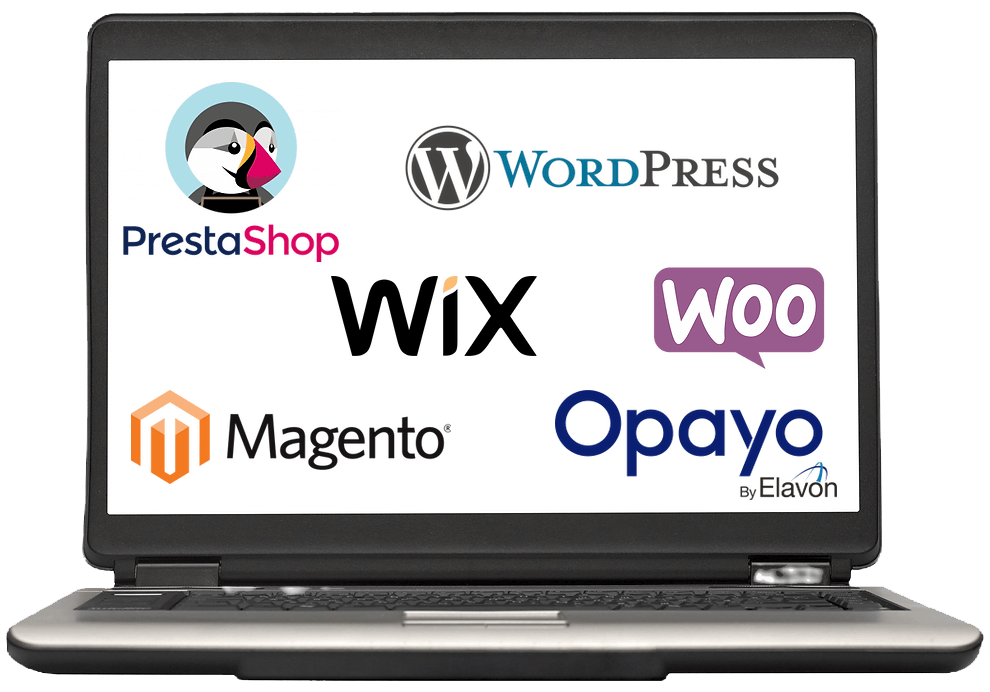 E-Commerce Payment Solutions